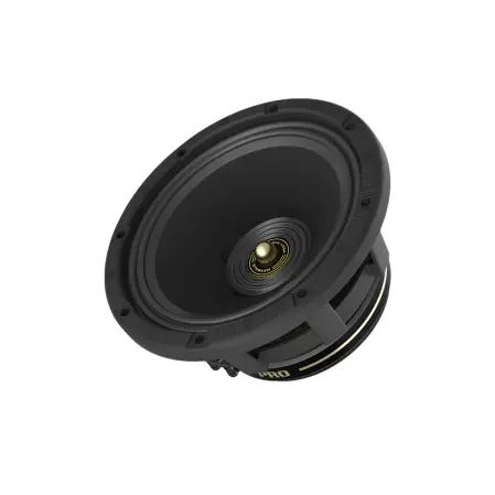 Cerwin-Vega Stroker PRO 10