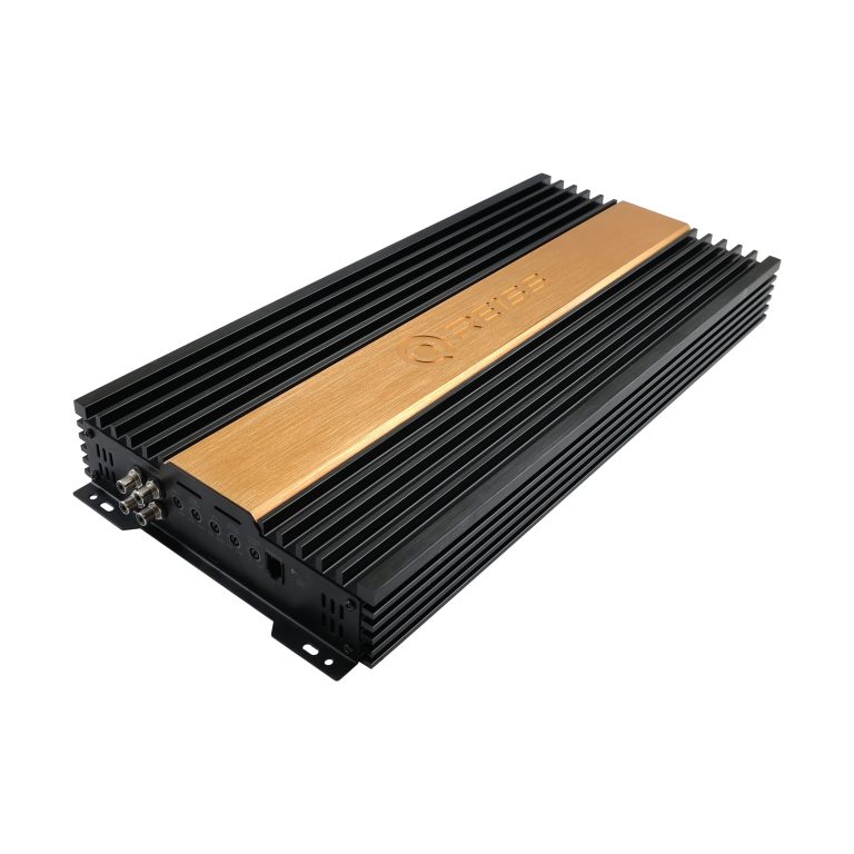 RS-D2500.1 1 RS-D2500.1
